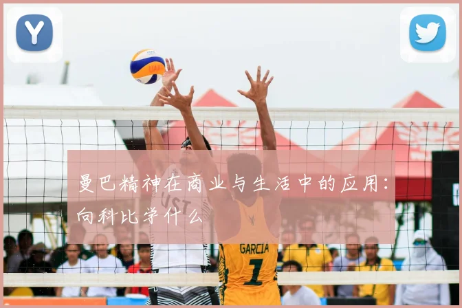 曼巴精神在商业与生活中的应用：向科比学什么